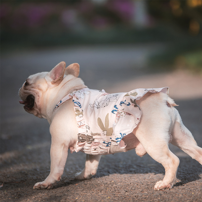 Teddy Schnauzer Pugs Small And Medium-sized Dogs Cats And Dogs Skirt - Image 4