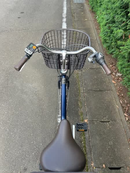 Electric City Bike with Front & Rear Basket - Image 3