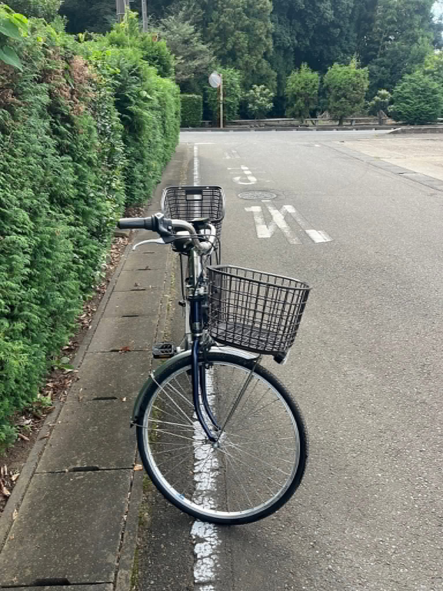 Electric City Bike with Front & Rear Basket - Image 4